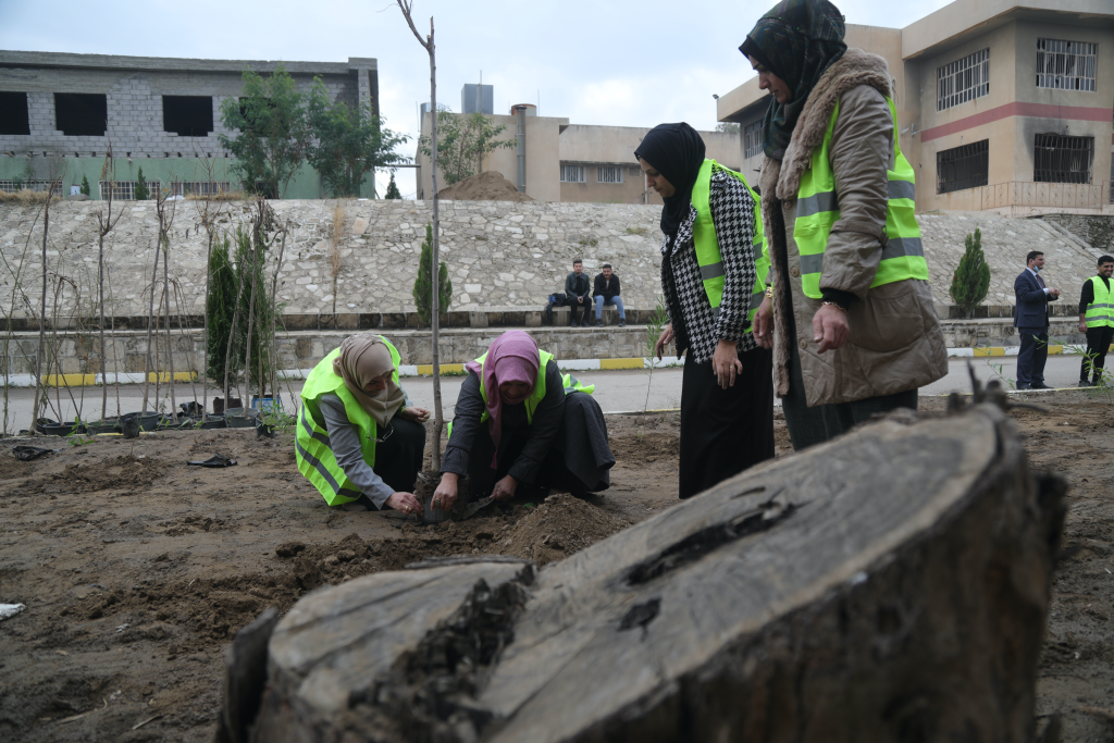 Volunteers planting trees along the streets of Mosul as part of the Green Mosul Project.